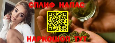 крисы Коммунар