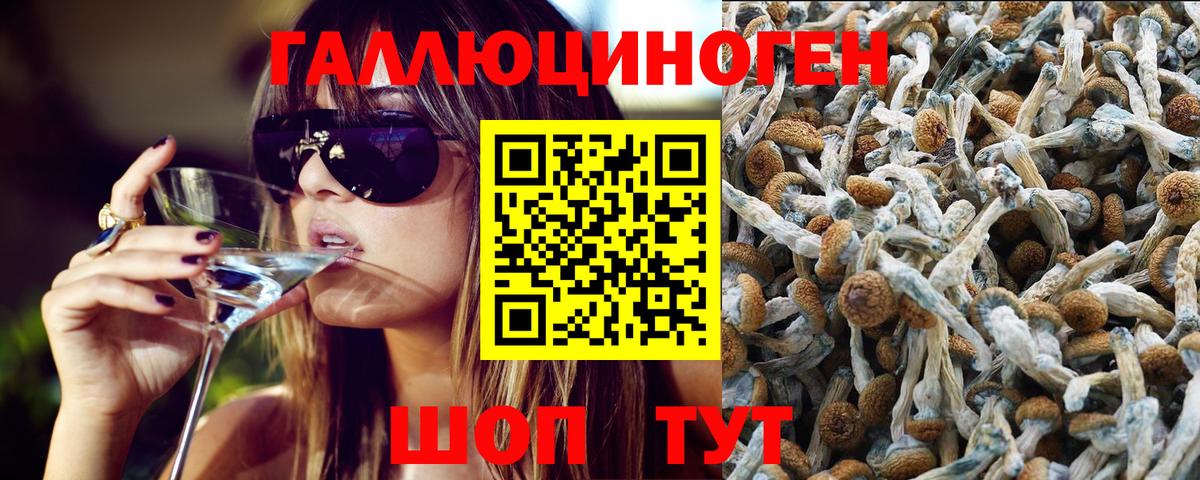 Галлюциногенные грибы MAGIC MUSHROOMS  Вход с VPN  Касимов 